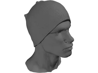 Head for Printing Decimated 3D Model