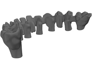 Reduced Mandibula Arcade 3D Model