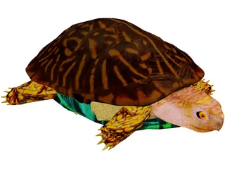 Turtle 3D Model