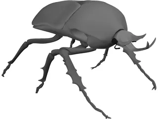 African Rose Beetle 3D Model