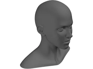 Girl Head Human 3D Model