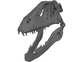 Dinosaur Skull 3D Model