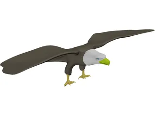 Eagle Bald 3D Model