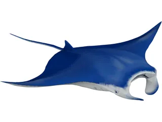 Manta Ray 3D Model