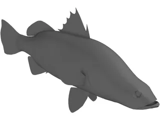 Barramundi 3D Model