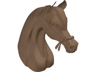 Horse Head Arabian 3D Model