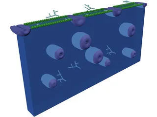 Cell Membrane 3D Model