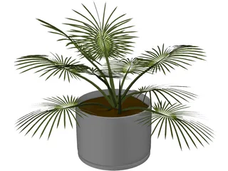 House Plant 3D Model