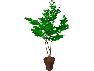 Potted Tree 3D Model