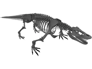 Komodo Dragon Skeleton 3D Model