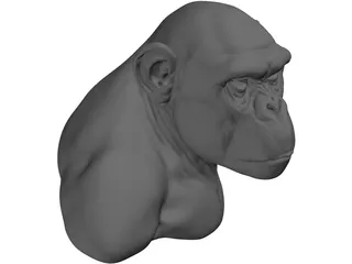 Chimp Head 3D Model