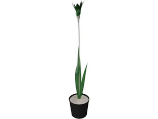 Potted Plant 3D Model