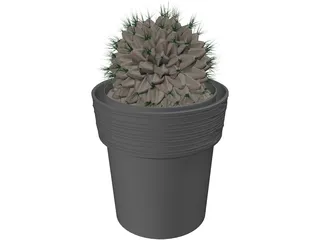 Potted Cactus Plant 3D Model