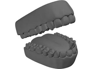 Teeth 3D Model