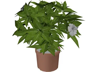 Potted Plant 3D Model