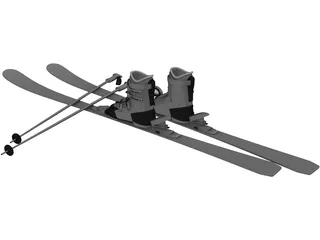 Ski 3D Model