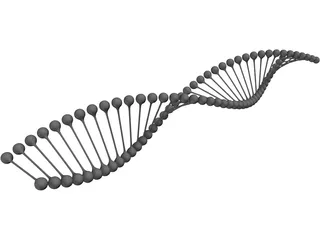 DNA 3D Model