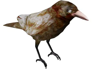 Bangor Crow 3D Model