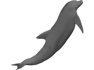 Dolphin 3D Model