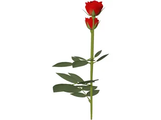 Red Rose 3D Model