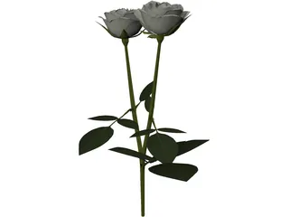White Rose 3D Model