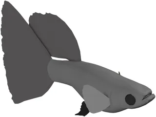 Guppy 3D Model