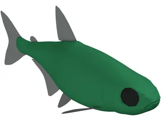 Neon Tetra 3D Model