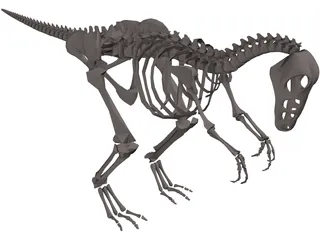 Dinosaur Skeleton 3D Model