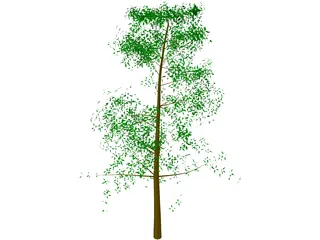 Tree Big 3D Model