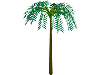 Tree Palm Tropical 3D Model