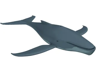 Whale Funny 3D Model