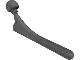 Hip Prosthesis 3D Model