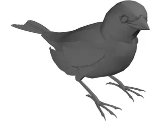 Black Bird 3D Model