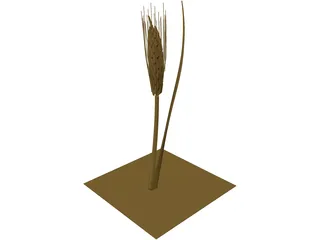 Dried Barley 3D Model