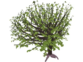 Tree 3D Model