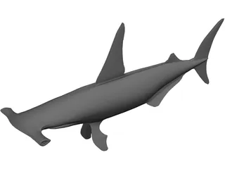 Shark 3D Model