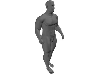 Body Builder 3D Model