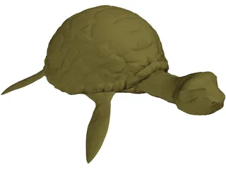 Cartoon Turtle 3D Model