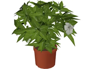 Plant 3D Model