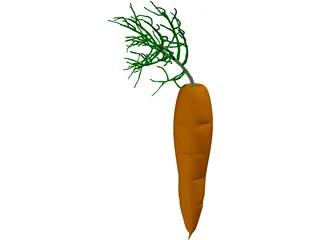 Carrot 3D Model
