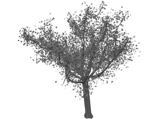 Tree 3D Model