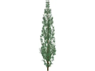 Pine Tree 3D Model