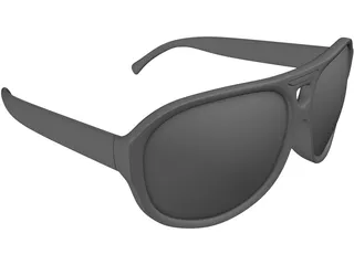 Polaroid Sunglasses 3D Model