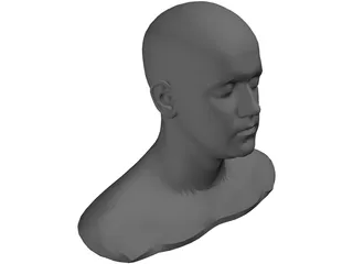 Head 3D Model