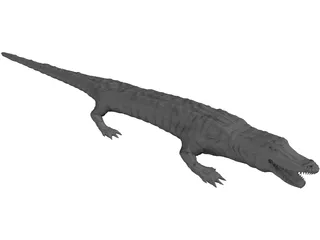 Crocodile 3D Model