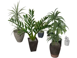 House Plant Collection 3D Model
