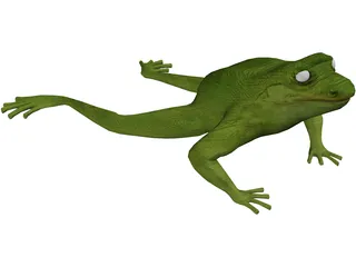 Frog 3D Model