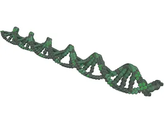 DNA 3D Model