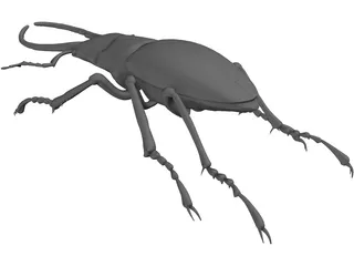 Stag Beetle 3D Model