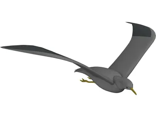Seagull Flying 3D Model